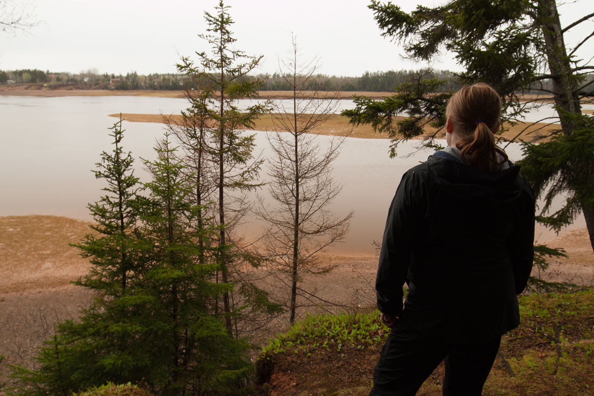 Trail Gallery pictures